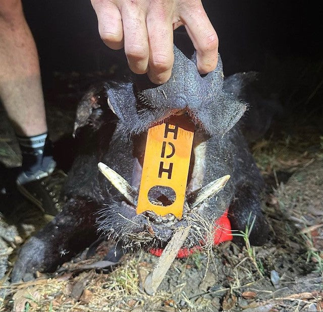 HD Hunting Brag sticks/ Bottle opener