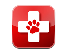 First Aid and Hunting Supplements