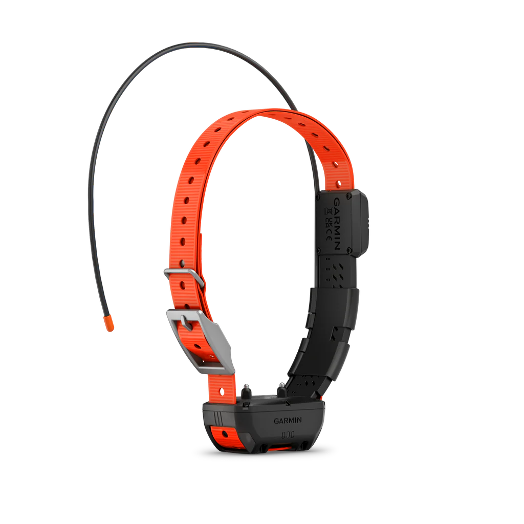 ALPHA T20 TRACKING COLLAR
