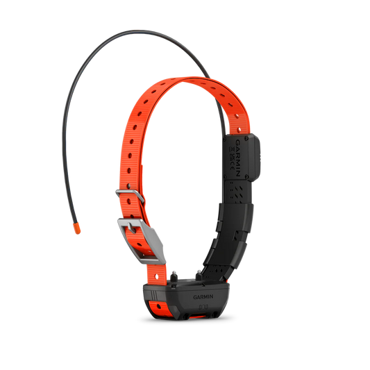 ALPHA T20 TRACKING COLLAR