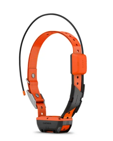 ALPHA T20 TRACKING COLLAR