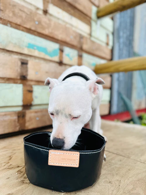 PVC TRAVEL DOG WATER BOWL
